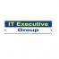 IT Executive